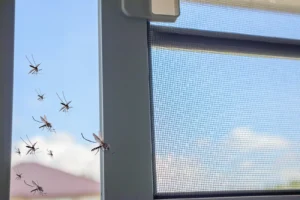Read more about the article How Mosquitoes and Ticks Thrive Around Your Home