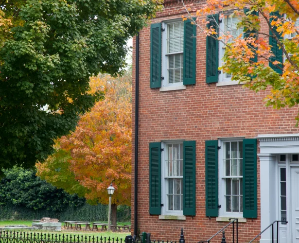 fall-trees-and-old-brick-buildings-2026-01-11-10-19-59-utc