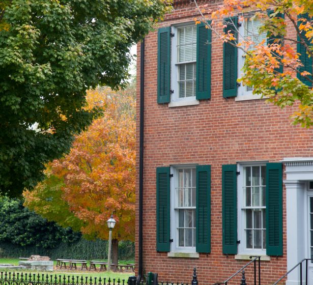 fall-trees-and-old-brick-buildings-2026-01-11-10-19-59-utc