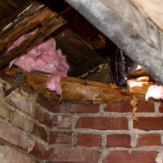 property-damage-water-damage-to-roof-2026-01-06-09-04-04-utc