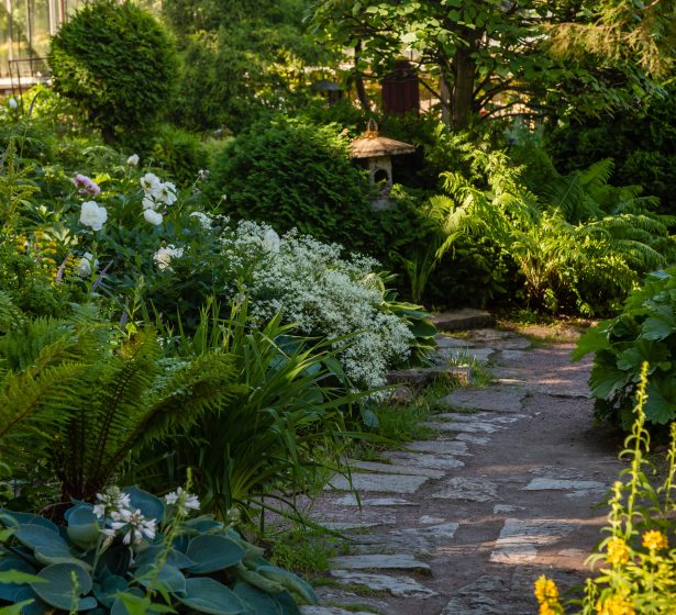 summer-garden-scene-in-the-botanical-garden-with-2026-01-09-14-13-16-utc